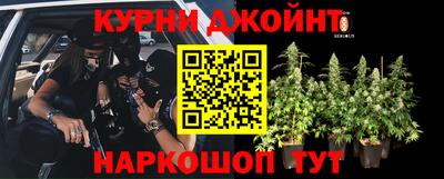 ECSTASY Рязань