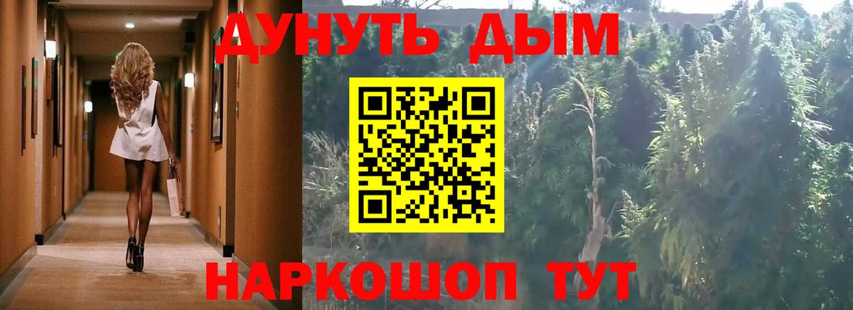 Шишки марихуана OG Kush Северск